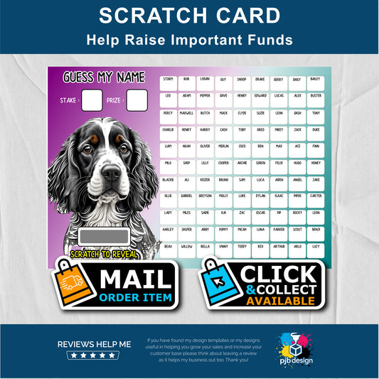 Guess The Name Charity Fund Raising Scratch Card - A4 Fund Raising Product